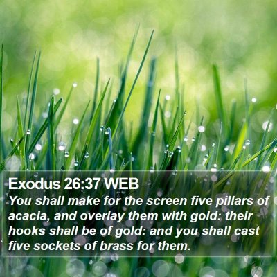 Exodus 26:37 WEB Bible Verse Image