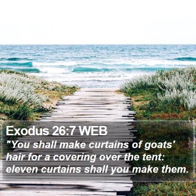 Exodus 26:7 WEB Bible Verse Image