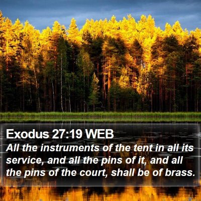 Exodus 27:19 WEB Bible Verse Image