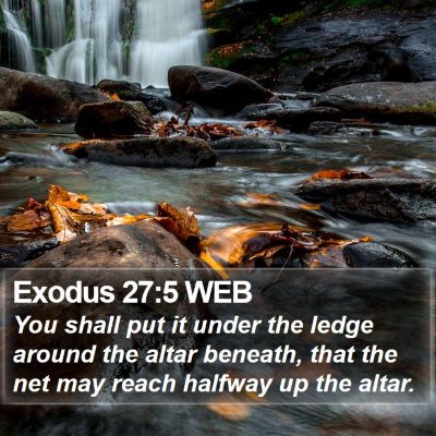 Exodus 27:5 WEB Bible Verse Image