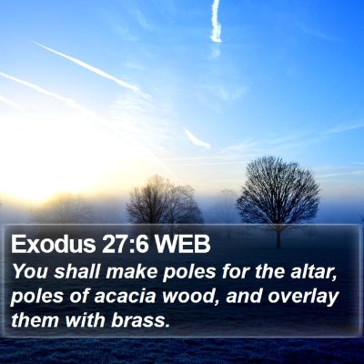 Exodus 27:6 WEB Bible Verse Image