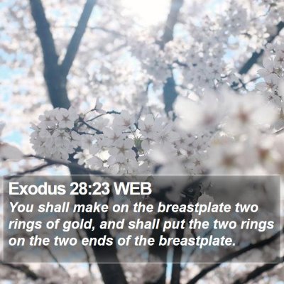 Exodus 28:23 WEB Bible Verse Image