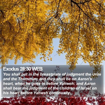 Exodus 28:30 WEB Bible Verse Image