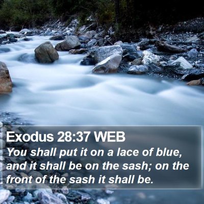 Exodus 28:37 WEB Bible Verse Image