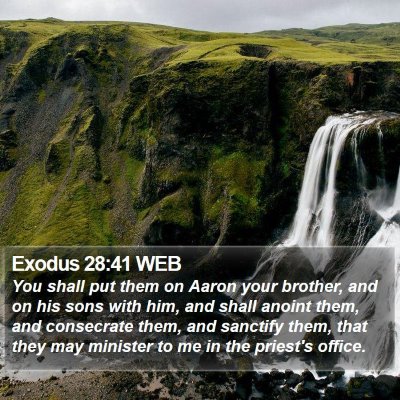 Exodus 28:41 WEB Bible Verse Image