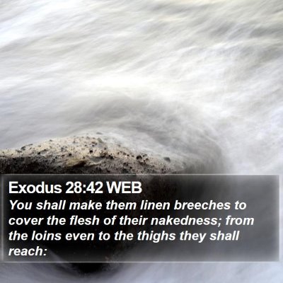 Exodus 28:42 WEB Bible Verse Image