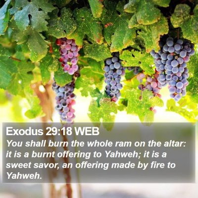 Exodus 29:18 WEB Bible Verse Image