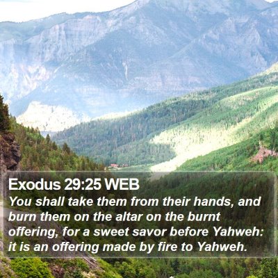 Exodus 29:25 WEB Bible Verse Image