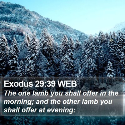 Exodus 29:39 WEB Bible Verse Image