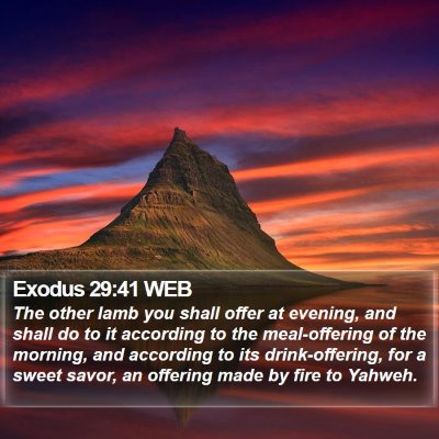 Exodus 29:41 WEB Bible Verse Image