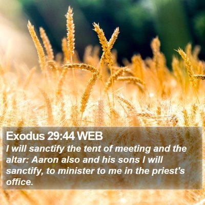 Exodus 29:44 WEB Bible Verse Image
