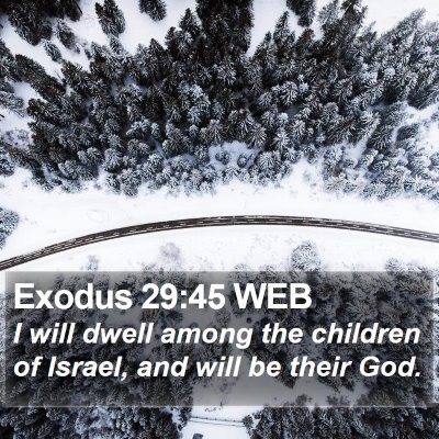 Exodus 29:45 WEB Bible Verse Image