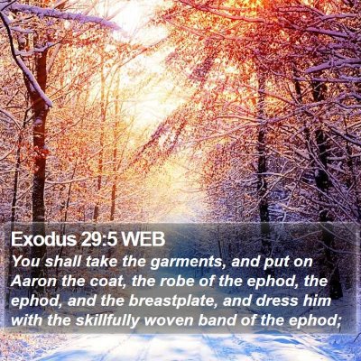 Exodus 29:5 WEB Bible Verse Image