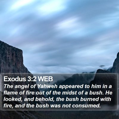 Exodus 3:2 WEB Bible Verse Image