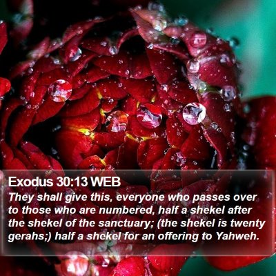 Exodus 30:13 WEB Bible Verse Image