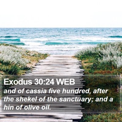 Exodus 30:24 WEB Bible Verse Image