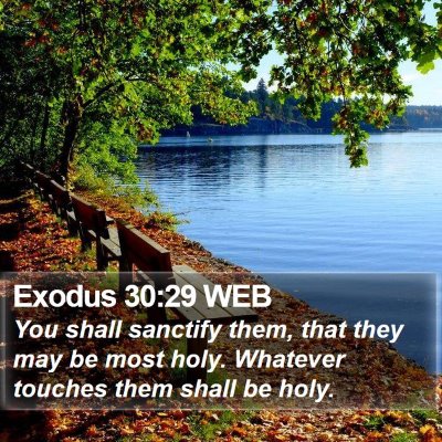Exodus 30:29 WEB Bible Verse Image