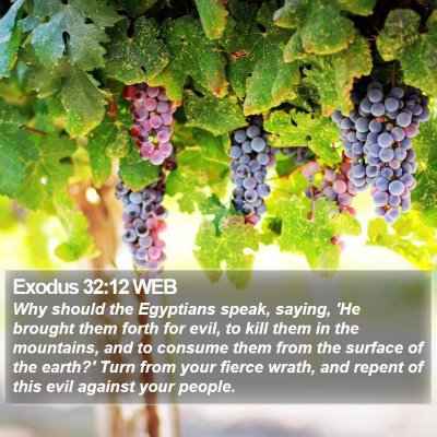 Exodus 32:12 WEB Bible Verse Image
