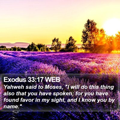 Exodus 33:17 WEB Bible Verse Image
