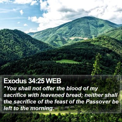 Exodus 34:25 WEB Bible Verse Image