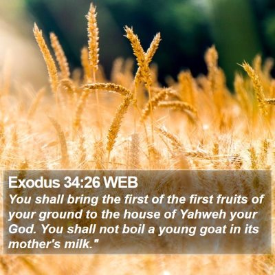 Exodus 34:26 WEB Bible Verse Image