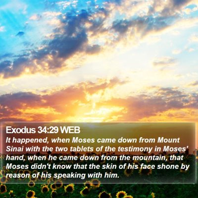 Exodus 34:29 WEB Bible Verse Image