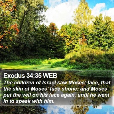 Exodus 34:35 WEB Bible Verse Image