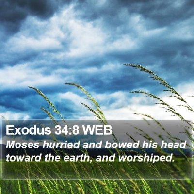 Exodus 34:8 WEB Bible Verse Image