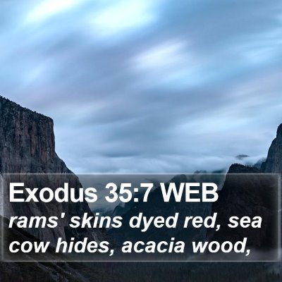 Exodus 35:7 WEB Bible Verse Image