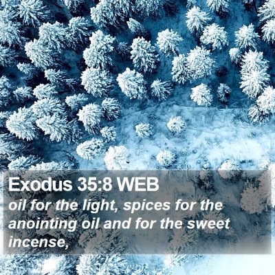 Exodus 35:8 WEB Bible Verse Image
