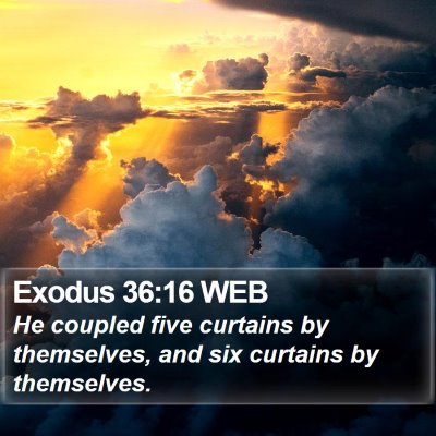 Exodus 36:16 WEB Bible Verse Image