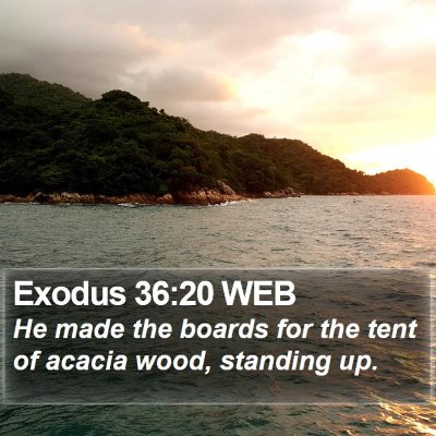 Exodus 36:20 WEB Bible Verse Image