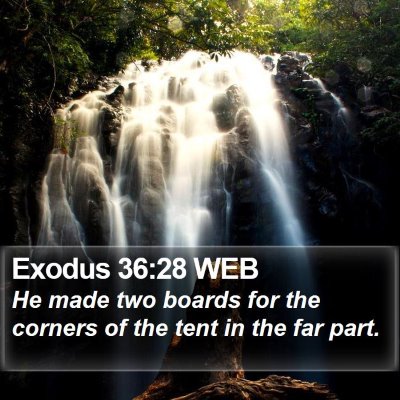 Exodus 36:28 WEB Bible Verse Image