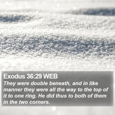 Exodus 36:29 WEB Bible Verse Image