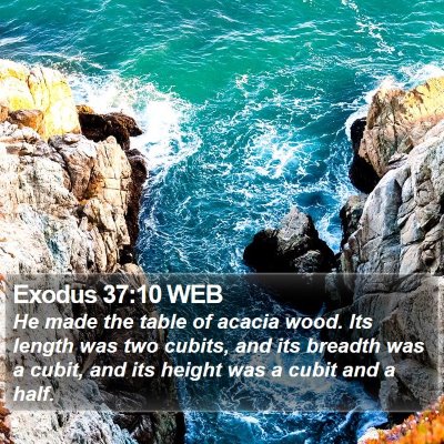 Exodus 37:10 WEB Bible Verse Image