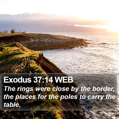 Exodus 37:14 WEB Bible Verse Image