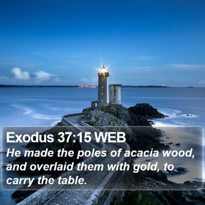 Exodus 37:15 WEB Bible Verse Image
