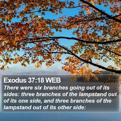 Exodus 37:18 WEB Bible Verse Image