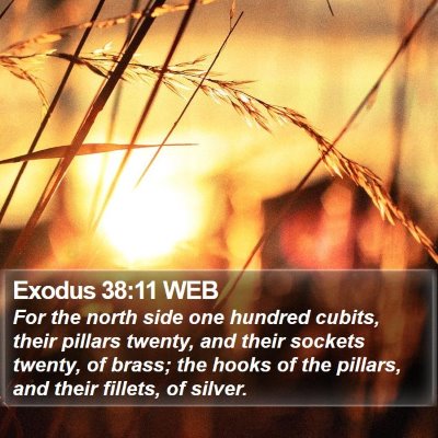 Exodus 38:11 WEB Bible Verse Image
