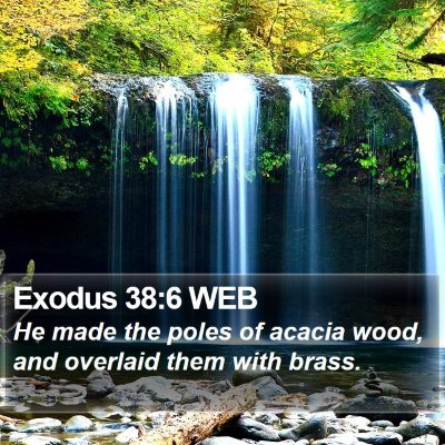 Exodus 38:6 WEB Bible Verse Image