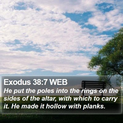 Exodus 38:7 WEB Bible Verse Image