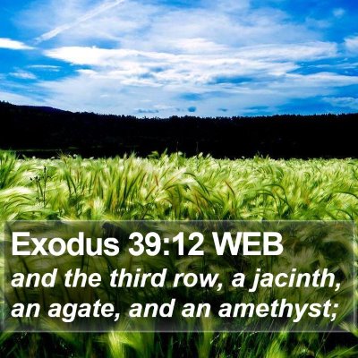 Exodus 39:12 WEB Bible Verse Image