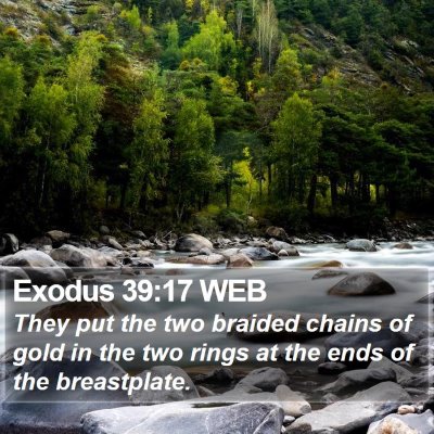 Exodus 39:17 WEB Bible Verse Image