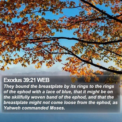 Exodus 39:21 WEB Bible Verse Image
