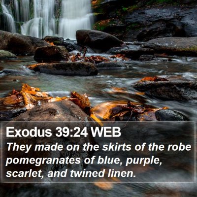 Exodus 39:24 WEB Bible Verse Image