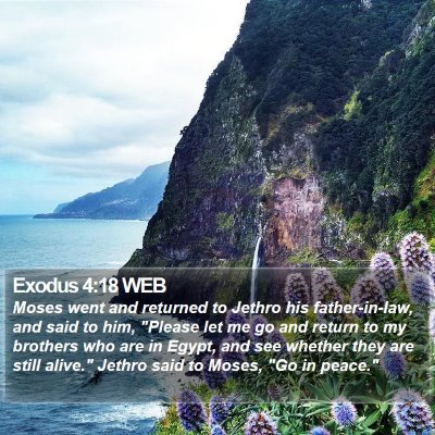 Exodus 4:18 WEB Bible Verse Image