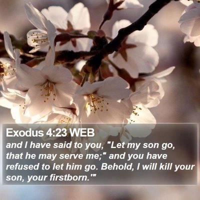 Exodus 4:23 WEB Bible Verse Image
