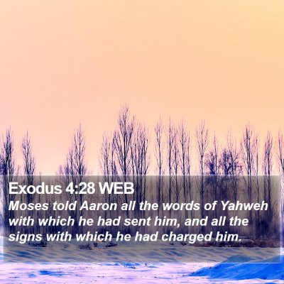 Exodus 4:28 WEB Bible Verse Image