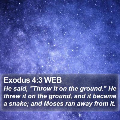Exodus 4:3 WEB Bible Verse Image