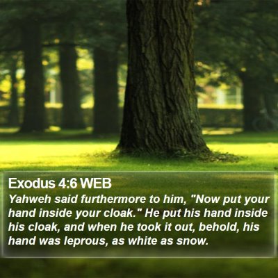 Exodus 4:6 WEB Bible Verse Image